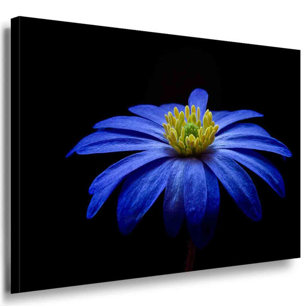 Blaue Blume Leinwandbild AK ART Wanddeko Wandbild Made in Germany XXL