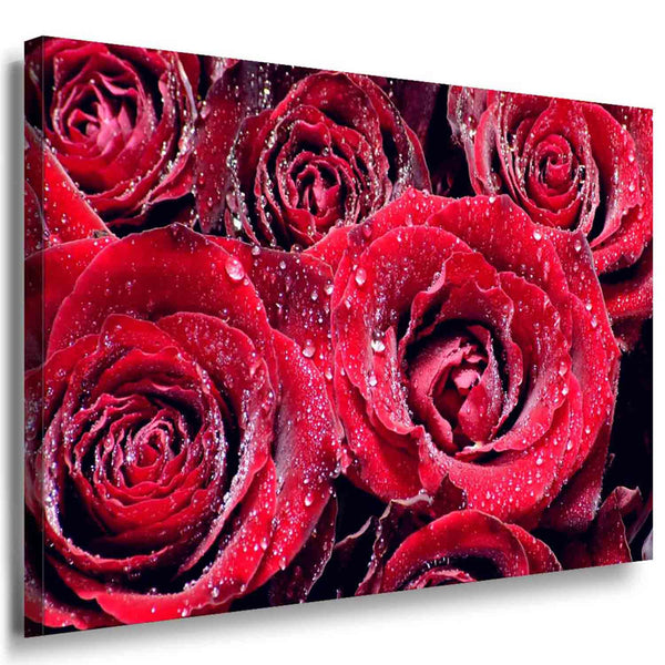 Rote Rosen Leinwandbild / AK ART Bilder / SchwarzWeiß + Kunstdruck XXL Wandbild