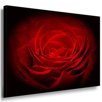 Bild Geschenk Rose Leinwandbild AK Art BilderWanddeko Wandbild Made in Germany