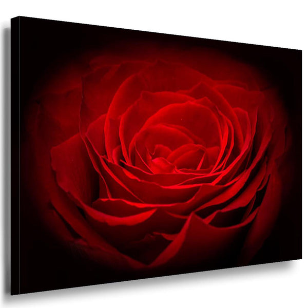 Bild Geschenk Rose Leinwandbild AK Art BilderWanddeko Wandbild Made in Germany