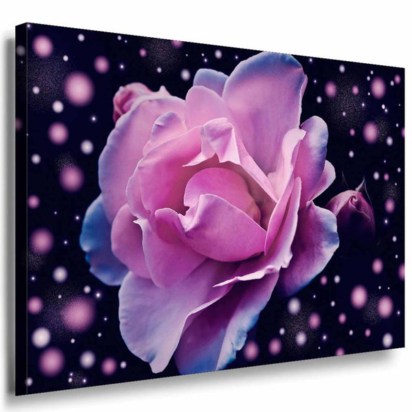 Blume Rose Punkte Leinwandbild / AK Art Bilder / Mehrfarbig + Kunstdruck XXL Wandbild