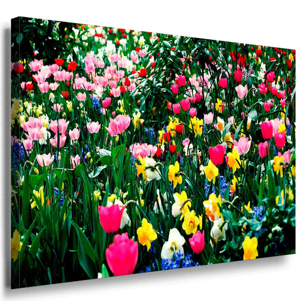 Bunte Tulpen Leinwandbild AK Art Bilder Mehrfarbig Wandbild Kunstdruck XXL TOP