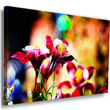 Rote Blumen Leinwandbild AK Art Bilder Mehrfarbig Wandbild Kunstdruck TOP XXL