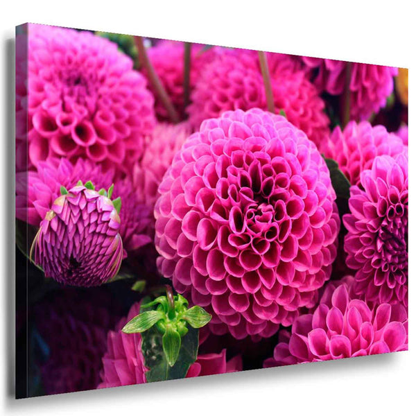 Rote Blumen Kugeln Leinwandbild AK Art Bilder Mehrfarbig Kunstdruck XXL Wandbild