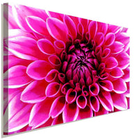 Dahlie Blume Rot Leinwandbild AK Art Bilder Wanddeko Wandbild Kunstdruck XXL