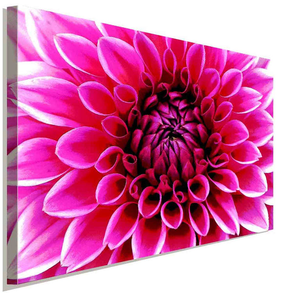 Dahlie Blume Rot Leinwandbild AK Art Bilder Wanddeko Wandbild Kunstdruck XXL