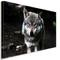 Weißer Wolf Wald Leinwandbild AK Art Studio Wanddeko Wandbild Kunstdruck XXL