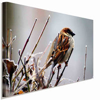 Vogel im Winter Leinwandbild AK Art Bilder Wanddeko Wandbild Made in Germany XXL