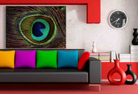 Pfauenfeder Blau Rot Leinwandbild / AK Art Bilder / Leinwand Bild + Mehrfarbig