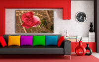 Rote Rose Leinwandbild / AK ART Bilder / SchwarzWeiß Kunstdruck XXL TOP Wandbild