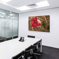 Rote Rose Leinwandbild / AK ART Bilder / SchwarzWeiß Kunstdruck XXL TOP Wandbild