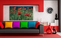 Rote Blumen Wiese Leinwandbild / AK Art Bilder / Mehrfarbig Kunstdruck Wandbild