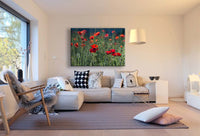 Rote Blumen Wiese Leinwandbild / AK Art Bilder / Mehrfarbig Kunstdruck Wandbild
