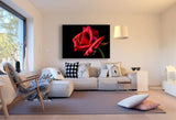 Rote Rose Leinwandbild / AK Art Bilder / Mehrfarbig + Kunstdruck XXL Wandbild