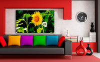Sonnenblume Leinwandbild / AK Art Bilder / Mehrfarbig + Kunstdruck XXL Wandbild