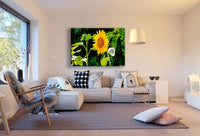 Sonnenblume Leinwandbild / AK Art Bilder / Mehrfarbig + Kunstdruck XXL Wandbild