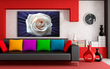 Weiße Rose Groß Leinwandbild /AK Art Bilder Mehrfarbig + Kunstdruck XXL Wandbild