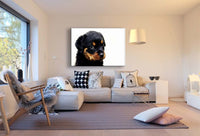 Süßer kleiner Rottweiler Leinwandbild AK Art Studio Wanddeko Wandbild TOP XXL