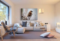 Vogel im Winter Leinwandbild AK Art Bilder Wanddeko Wandbild Made in Germany XXL