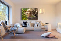 AK Art Bilder Gepard Agressiv Leinwandbild Mehrfarbig Kunstdruck Wandbild XXL