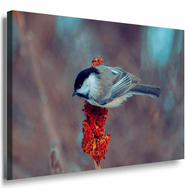 Vogel im Wald Grau Leinwandbild AK Art Bilder Mehrfarbig Kunstdruck XXL Wandbild