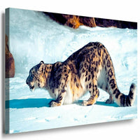 Leopard Sibirien Leinwandbild AK Art Bilder Mehrfarbig Kunstdruck Wandbild XXL