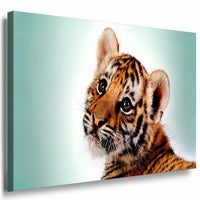 Tiger Leinwandbild AK Art Bilder Mehrfarbig Wandbild Kunstdruck Wanddeko TOP XXL