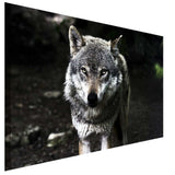 Weiser Wolf Wald Leinwandbild AK Art Studio Wanddeko Wandbild Kunstdruck XXL