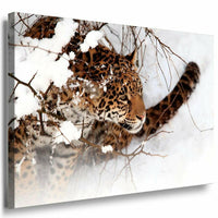Gepard im Schnee Baum Leinwandbild AK Art Bilder Mehrfarbig Kunstdruck Wandbild