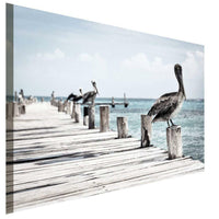 Pelikan am Steg Leinwandbild AK Art BIlder Wanddeko Wandbild Premium Kunstdruck