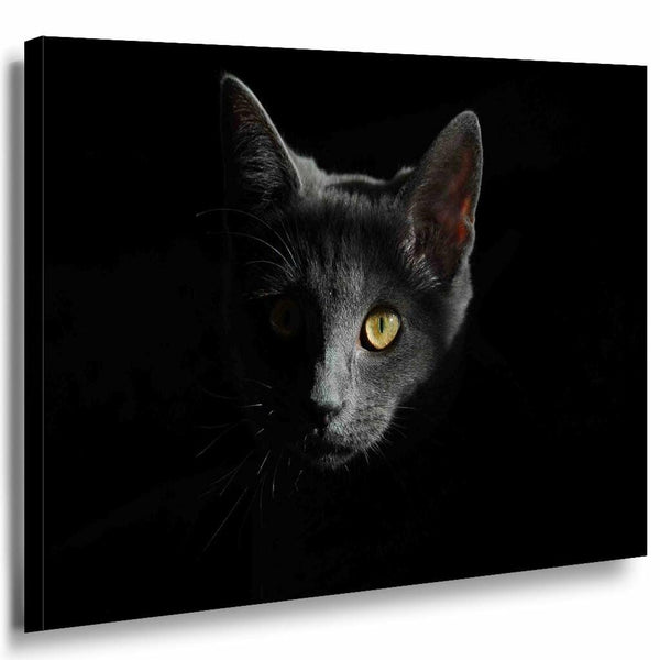 Katze Schatten Schwarz Leinwandbild AK Art Bilder Mehrfarbig Kunstdruck Wandbild