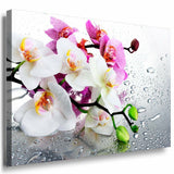 Orchidee Leinwandbild LaraArt Bilder Mehrfarbig Wandbild