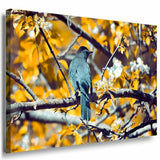 Vogel im Wald Schwarz Leinwandbild AK Art Bilder Mehrfarbig Kunstdruck Wandbild