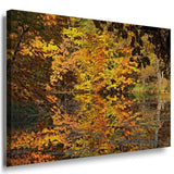 Herbst Wald Leinwandbild AK Art Bilder Mehrfarbig Wandbild Kunstdruck Wanddeko 1