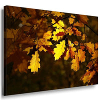 Herbst Laubblatter Leinwandbild AK Art Bilder Mehrfarbig Wandbild Kunstdruck 3
