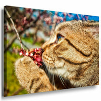 Katze richt an roten Beeren Leinwandbild AK Art Bilder Mehrfarbig Kunstdruck XXL