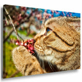 Katze richt an roten Beeren Leinwandbild AK Art Bilder Mehrfarbig Kunstdruck XXL