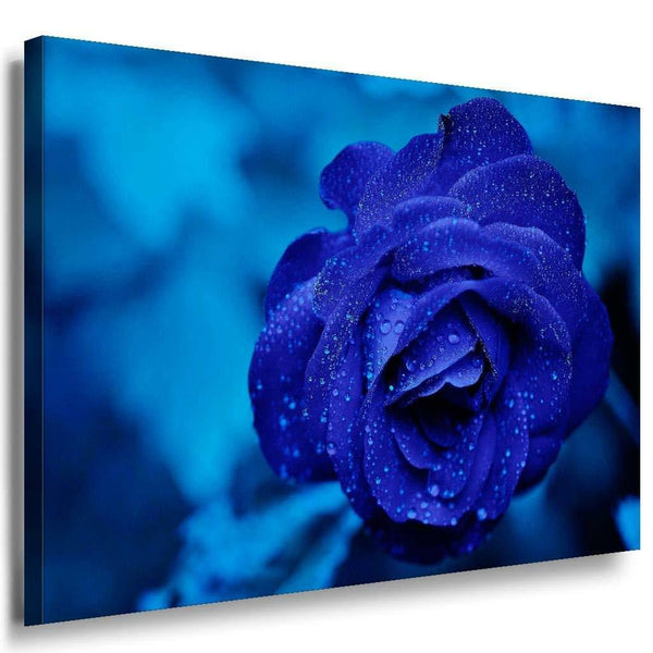 Blaue Rose Leinwandbild AK Art Bilder Mehrfarbig Kunstdruck XXL Wandbild