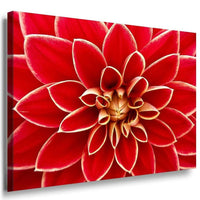 Rote Blume Muster Leinwandbild AK ART Bilder Mehrfarbig Kunstdruck XXL TOP