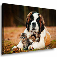 Katzchen Hund Leinwandbild AK Art Bilder Mehrfarbig Wandbild Kunstdruck XXL