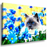 Katze Leinwandbild AK Art Bilder Mehrfarbig Wandbild Kunstdruck Wanddeko TOP XXL 5