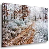 Raureif im November Leinwandbild AK Art Bilder Mehrfarbig Wandbild Kunstdruck