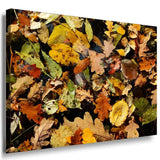 Herbst Laubblatter Leinwandbild AK Art Bilder Mehrfarbig Wandbild Kunstdruck 4