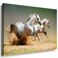 Zwei Pferde Rennen Leinwandbild AK Art Bilder Mehrfarbig Kunstdruck XXL Wandbild