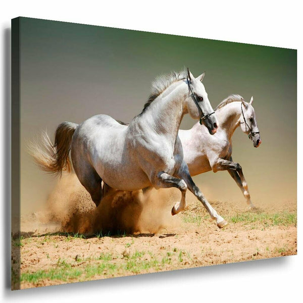 Zwei Pferde Rennen Leinwandbild AK Art Bilder Mehrfarbig Kunstdruck XXL Wandbild