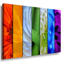 Blumen Makro Abstrakt Leinwandbild AK Art Bilder Mehrfarbig Kunstdruck XXL