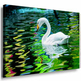 Schwan Weis Gruner See Leinwandbild AK Art Bilder Mehrfarbig Kunstdruck Wandbild