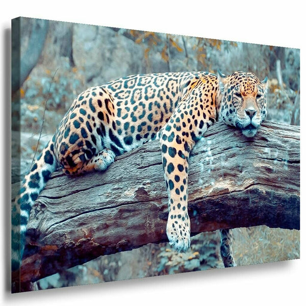 Leopard liegt auf Baumstamm Leinwandbild AK Art Bilder Mehrfarbig Kunstdruck XXL