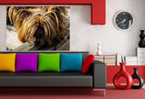 Yorkshire Terrier Leinwandbild AK Art Bilder Wanddeko Wandbild Kunstdruck XXL