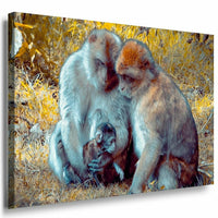 Affen Familie Afrika Leinwandbild AK Art Bilder Mehrfarbig Kunstdruck Wandbild
